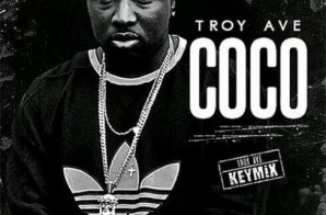 Troy Ave – Coco (Remix)