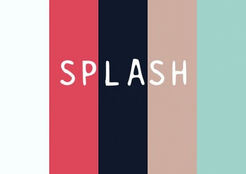 DolphinHood – Splash