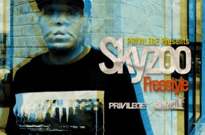 Skyzoo – PVLG (Freestyle)