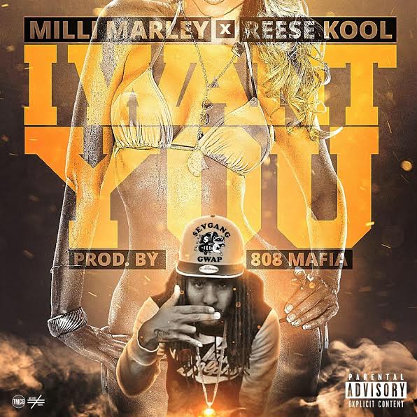 unnamed Milli Marley x Reese Kool - I Want You (Prod. by 808 Mafia)  