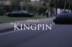 Gwala – Kingpin (Video)