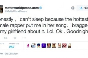 Metta World Peace Becomes Metta Minaj on Twitter.