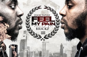 Pook Paperz – Feel My Pain (Mixtape)