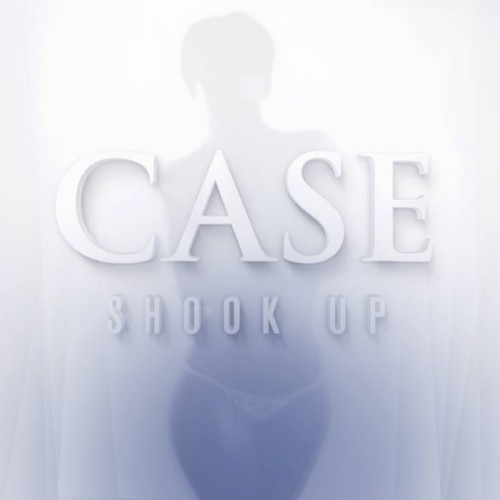 shookup-500x500 Case - Shook Up  