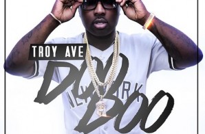 Troy Ave – Doo Doo