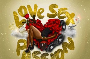 Raheem DeVaughn – Love Sex Passion (Album Stream)