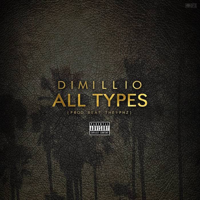 image11 Dimillio - All Types (Prod. By Beat Theipz)  