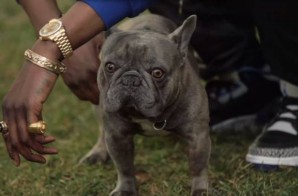 2 Chainz Pets A $100,000 Bulldog (Video)