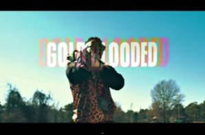 Yung Louie – Gold Blooded (Video)