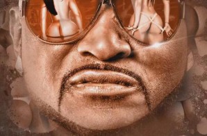 Shawty Lo – Booty Hoes