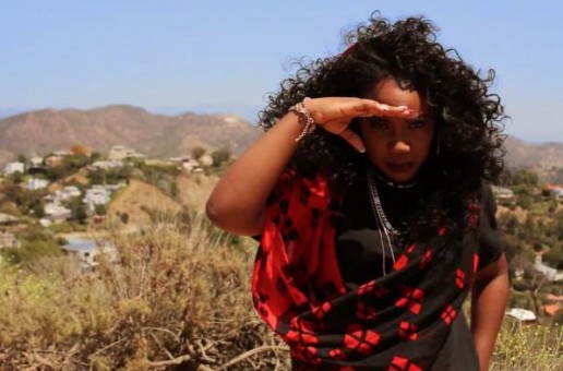 Lee Mazin – Surrender Ft. Wiz Gamb (Official Video)