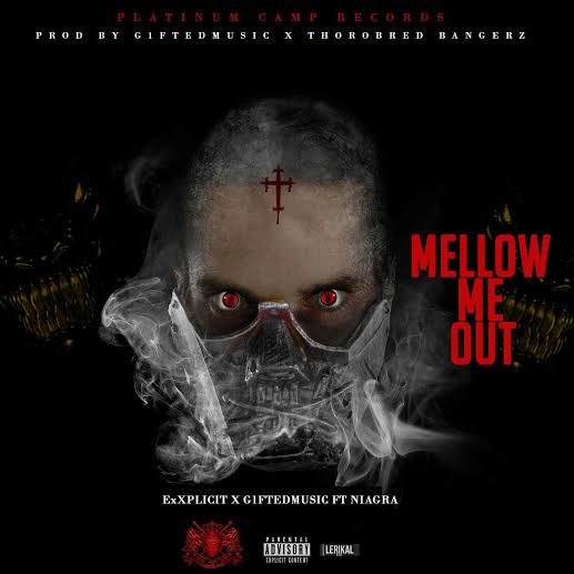 mellow Platinum Camp Records Presents: G1ftedMusic & ExXplicit x Niagra - Mellow Me Out  