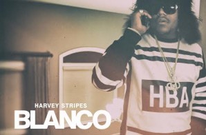 Harvey Stripes – Blanco