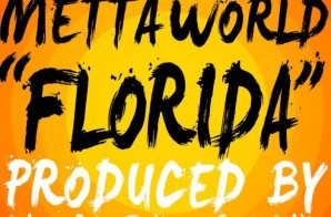 Metta World Peace – Florida
