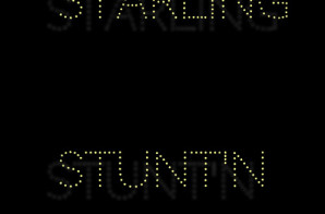 Starling – Stunt’N