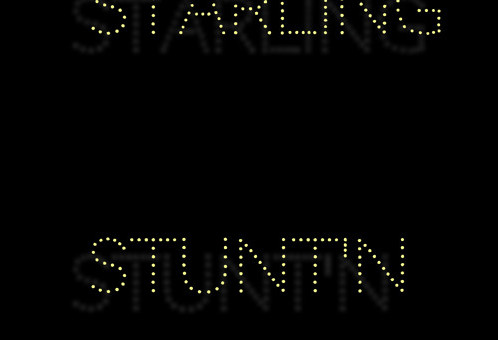 Starling – Stunt’N