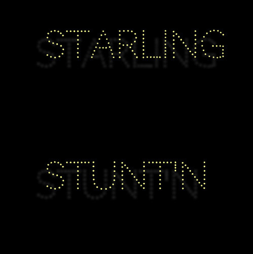 Screen-Shot-2015-05-11-at-10.28.31-PM-1-498x500 Starling - Stunt'N  