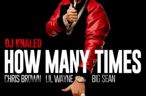 DJ Khaled – How Many Times Ft. Chris Brown, Lil Wayne & Big Sean (Official Video)