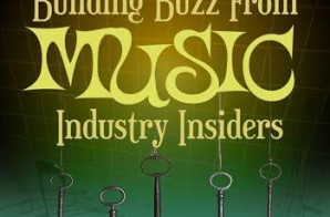 Tamiko Hope Does It Again With Her Book “5 Key Facts To Building Buzz From Music Industry Insiders”