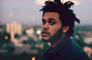 The Weeknd – Pullin’ Up