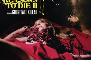 Ghostface Killah – Let The Record Spin Ft. Raekwon