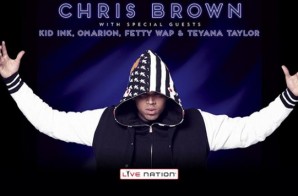 Chris Brown Announces ‘One Hell Of A Nite’ Tour
