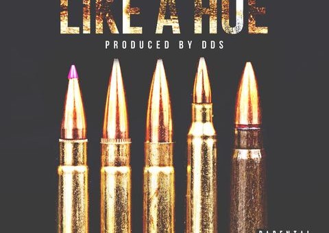 Dej Loaf – Like A Hoe (Prod. By DDS)