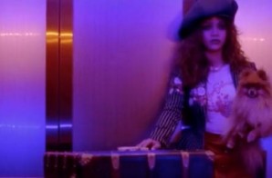 Rihanna – Bitch Better Have My Money (Video Trailer)