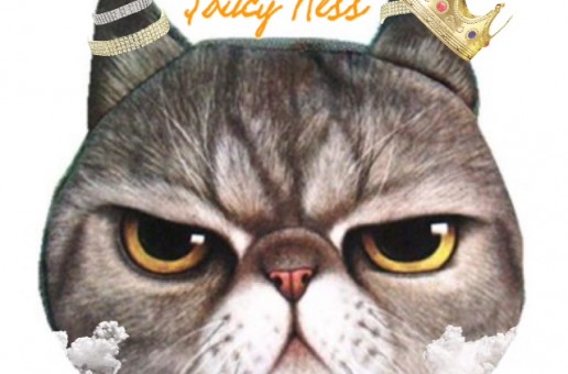 $aucy Ness – Pleas$ure Pocket