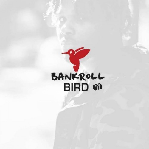 Bankroll_Bird-500x500 Bankroll Bird - True Story (Video)  