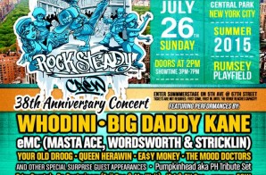 Rock Steady Crew’s 38th Anniversary Concert In Central Park
