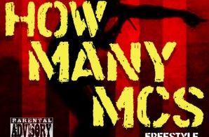 Chris Rivers – How Many MC’s Freestyle Ft. Termanology