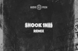 Audio Push – Shook 1nes (Freestyle)