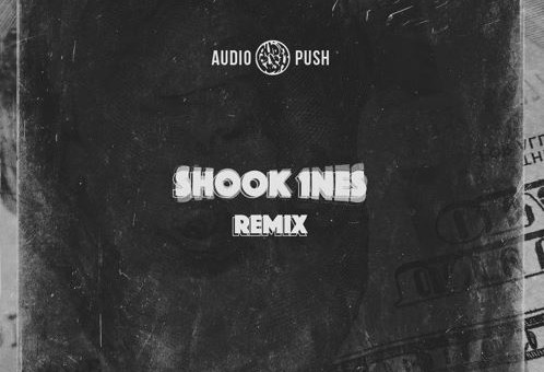Audio Push – Shook 1nes (Freestyle)
