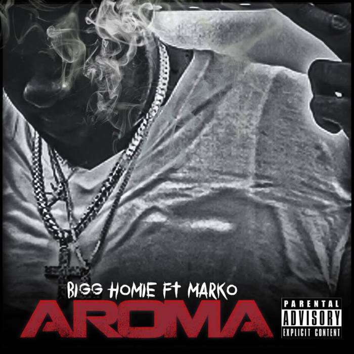 bigg-homie-aroma-official-video-HHS1987-2015 Bigg Homie - Aroma (Official Video)  