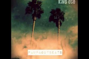 King Oso – Stingy (Prod. By Paupa)