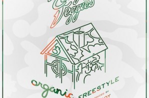 Casey Veggies – Organic (Freestyle) (Prod. By Hit-Boy)