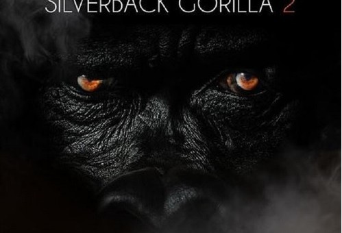 Sheek Louch – Survival of the Gorillas