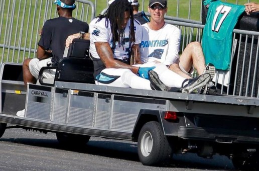 Gone Too Soon: Panthers WR Kelvin Benjamin Will Miss 2015 NFL Season With Torn ACL In Left Knee