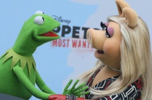Love Lockdown: Kermit & Miss Piggy Call It Quits; Agree To Still Work Together