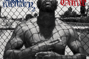 The Game Releases The Official Artwork For ‘Documentary 2’ & It’s Release Date