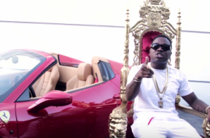Troy Ave – Young King Video