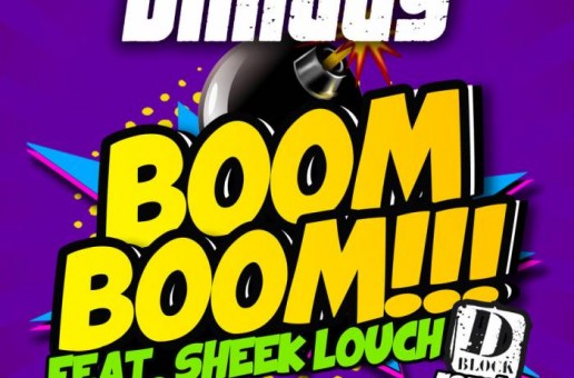 Shaggy – Boom Boom (Remix) Ft Sheek Louch