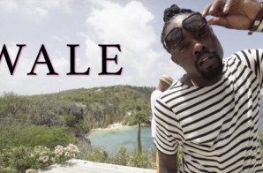 Wale – The Bloom Ft. Stokley Williams (Official Video)