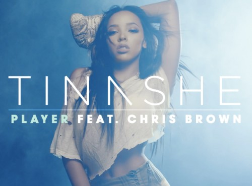tinashe-x-chris-brown-player-HHS1987-2015-1-500x369 Tinashe x Chris Brown - Player  