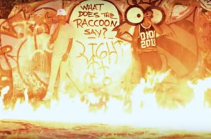 D. King – Light It Up Ft. Tate Kobang (Video)