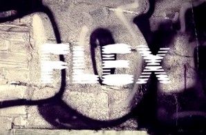 Threat Digga – Flex (Video)