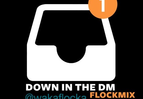 Waka Flocka – Down In The DM (Remix)