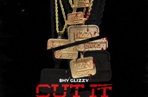 Shy Glizzy – Cut It (Freestyle)