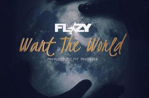 Flizy – Want The World (Prod. By My Producer)